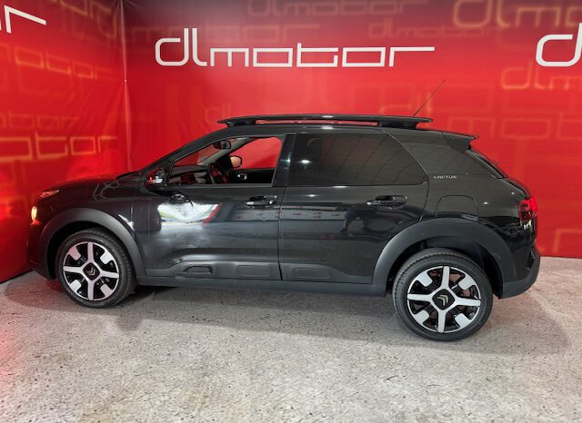 CITROEN C4 CACTUS lleno