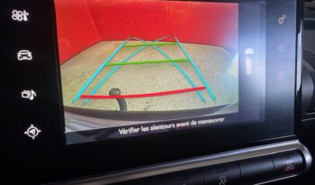 CITROEN C4 CACTUS lleno