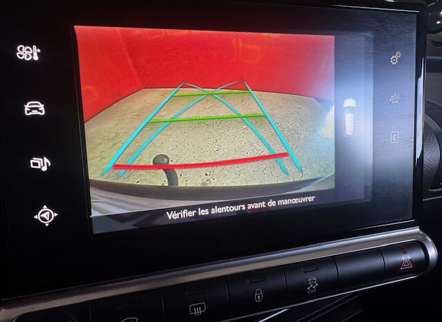 CITROEN C4 CACTUS lleno