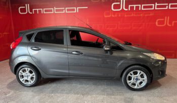 FORD FIESTA lleno
