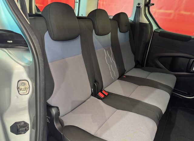 PEUGEOT PARTNER TEPEE lleno