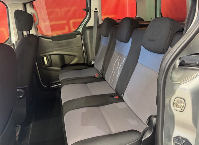 PEUGEOT PARTNER TEPEE lleno