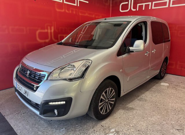 PEUGEOT PARTNER TEPEE lleno