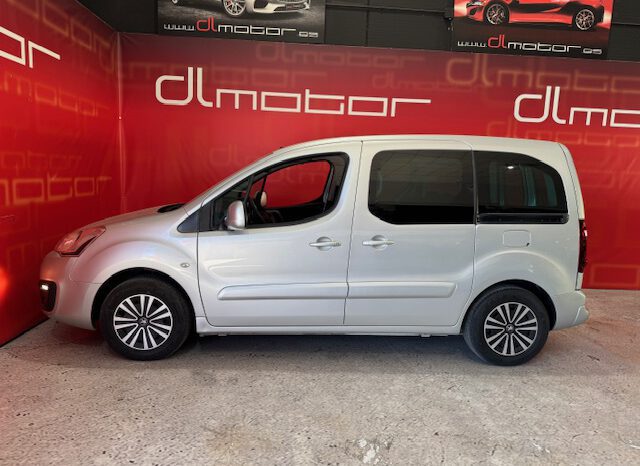 PEUGEOT PARTNER TEPEE lleno